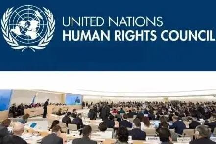 中国社会组织向联合国人权理事会第49届会议提交书面发言