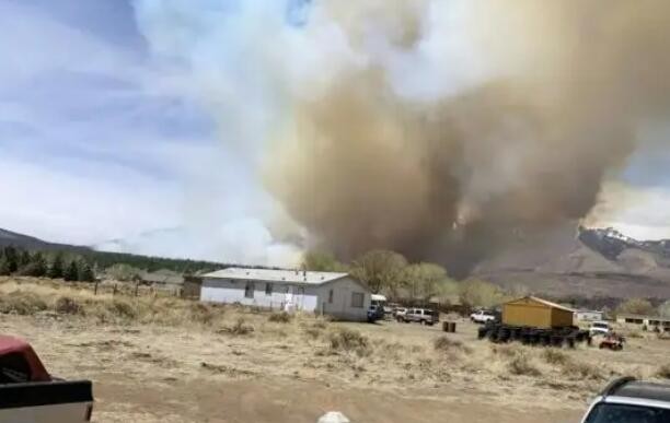 美国新墨西哥州野火蔓延灾情严重