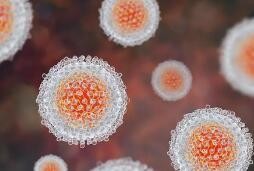 英国不明病因儿童肝炎病例增至145例