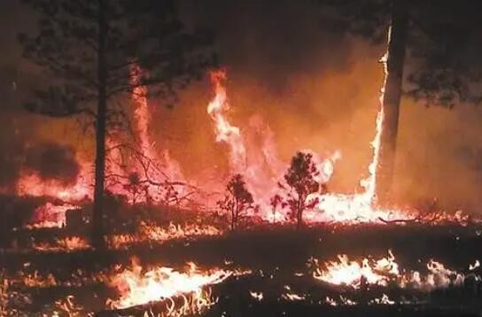 拜登宣布美国新墨西哥州野火为“重大灾害”