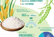 今年以来连续第5个月攀升 国际大米价格上涨如何应对