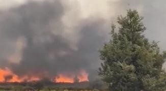 美国加州莱斯火灾过火面积超900英亩 至少7名消防员受伤