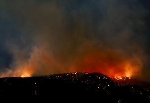 美媒：加州山火起火面积已达4.8平方公里