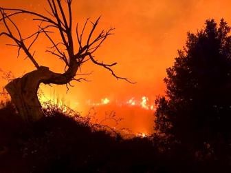 法国西南部地区森林火灾持续 过火面积增至5300公顷