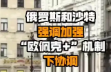 俄罗斯和沙特强调加强“欧佩克+”机制下协调