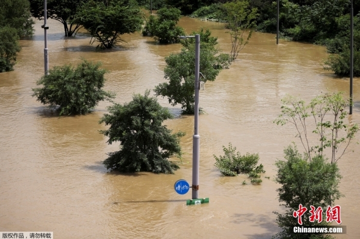 当地时间8月10日,韩国首尔,由于汉江水位上涨,已经封闭的汉江公园几乎“消失”。当地时间8日,韩国首都圈遭遇特大暴雨。截至当地时间10日6时,此次暴雨已经造成9人死亡、7人失踪、17人受伤。 当地时间8月10日,韩国首尔,由于汉江水位上涨,已经封闭的汉江公园几乎“消失”。当地时间8日,韩国首都圈遭遇特大暴雨。截至当地时间10日6时,此次暴雨已经造成9人死亡、7人失踪、17人受伤。