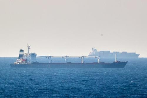 乌克兰基础设施部：联合国粮食署运粮船抵达乌港口