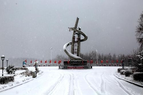 莫斯科遭遇强降雪天气 逾200架次航班延误或取消