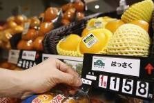 日本11月消费者物价指数上涨3.7% 创近41年新高
