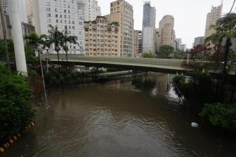 巴西圣保罗州严重暴雨灾害死亡人数升至48人