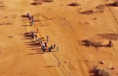 联合国报告：索马里去年约4.3万人死于干旱