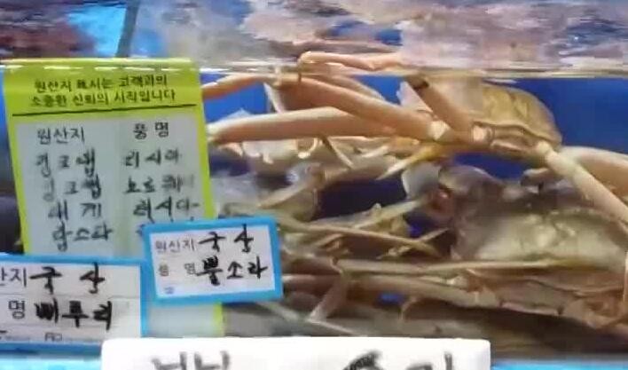 日本强推福岛核污水排海计划引批评