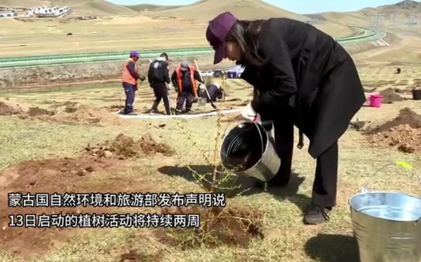 蒙古国启动今年植树活动 以防治日益严重的荒漠化