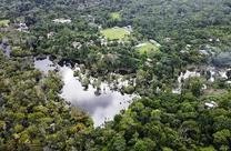 哥伦比亚2022年森林砍伐总量或减少10%