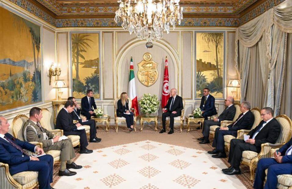 突尼斯总统表示应通过全盘解决方案处理非法偷渡问题