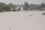 逾一个月来巴基斯坦强降雨造成至少173人死亡