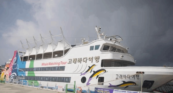 韩国蔚山着力打造特色鲸鱼旅游线路