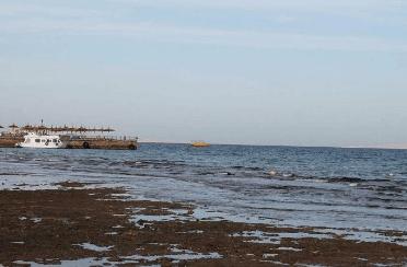 菲律宾多地沿海水域发生赤潮现象