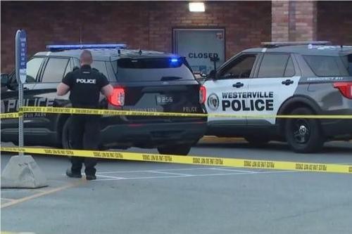 美媒：美警察射杀21岁非裔孕妇 被控滥用执法权