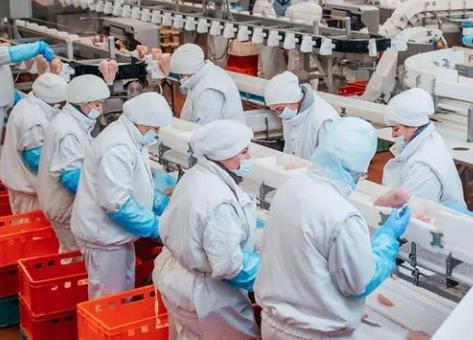 美国非法雇佣童工趋势上涨 这家公司被罚14万美元
