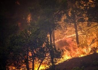 美加边境口岸彩虹桥发生车辆爆炸事件致2死1伤