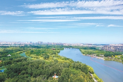 北京：大运河畔古村建起城市绿心森林公园