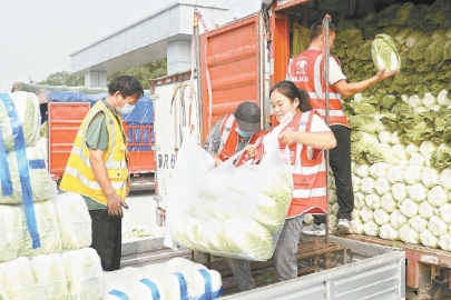 新发地市场全面复市 双节前恢复历史供应水平