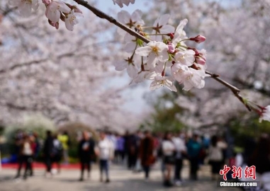 文旅部提醒：清明节出游期间疫情防控不松懈