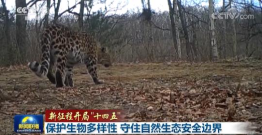 保护生物多样性 守住自然生态安全边界