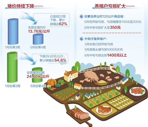 猪肉价格连续22周回落 养殖企业减亏稳产应对变局