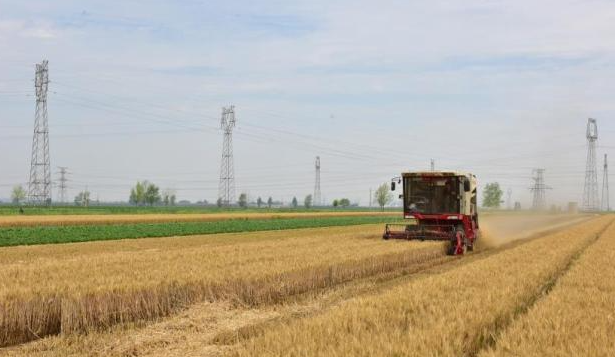 农业农村部：全方位提升早稻机械化收获质量