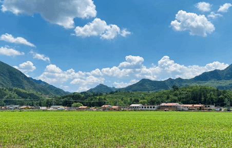 河北：守护蓝天碧水净土 厚植绿色发展底色