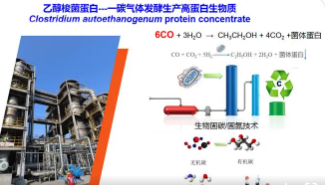 全球首次实现规模化一氧化碳合成蛋白质