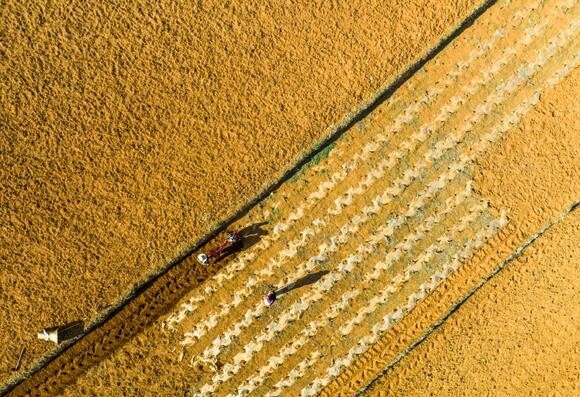 100万吨国家钾肥储备投放保春耕