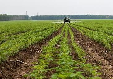 农业农村部启动2022年农垦带头扩种大豆行动