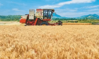 连续8天日机收面积超1000万亩 全国麦收进度过半