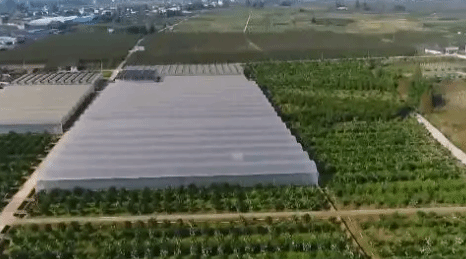100个国家乡村振兴示范县创建单位公布