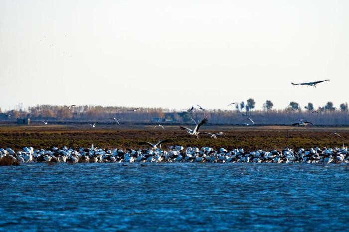 全国湿地保有量总体稳定 湿地面积约5635万公顷