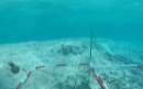 硬核科技助力中国水下考古取得新的历史性突破