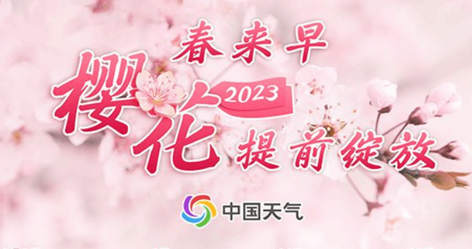 2023全国赏樱地图出炉 江南即将开启最美樱花季