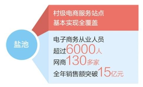 数商兴农助力乡村蝶变