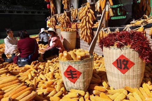 报告显示我国粮食全产业链减损可节粮上千亿斤