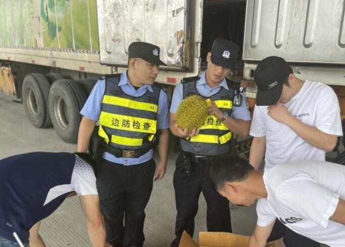 钦州保税港口岸成广西最大榴莲海上进口通道