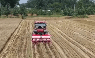 全国夏播粮食播种面积已过八成