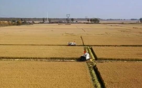 三大粮食作物完全成本保险和种植收入保险覆盖全国所有产粮大县
