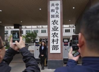 农业农村部动员部署西南地区水稻“两迁”害虫防控工作