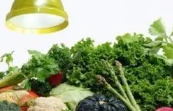 食用农产品市场销售新规：不得用“生鲜灯”误导消费者