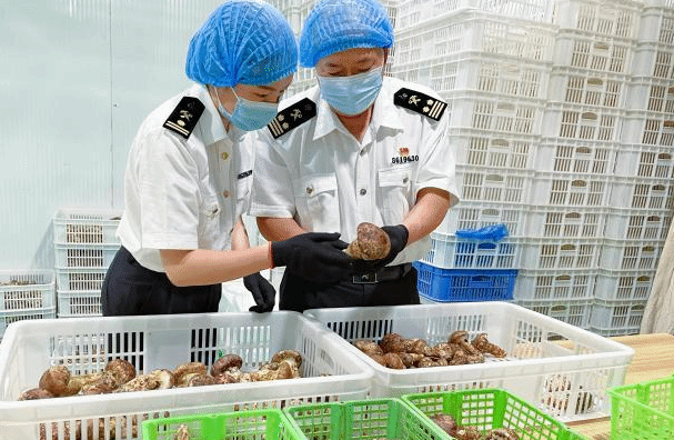 1至7月滇企享受RCEP成员国关税减让约1264万元