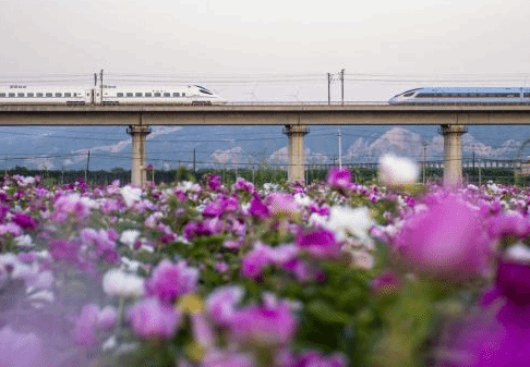 中秋、国庆黄金周太铁旅客发送量激增 客流热门方向京津沪穗