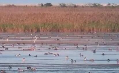我国首次实现国际重要湿地自然资源确权登记